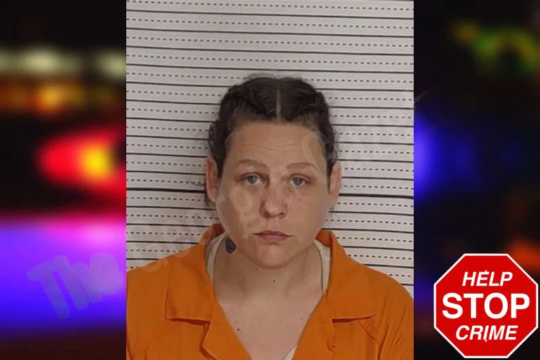 Tabitha Heath mugshot – Rockdale County , Georgia Tabitha Heath