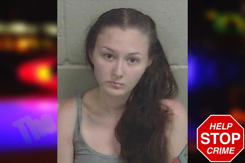 Tahnee McNabb mugshot – Wayne County , Georgia Tahnee McNabb mugshot