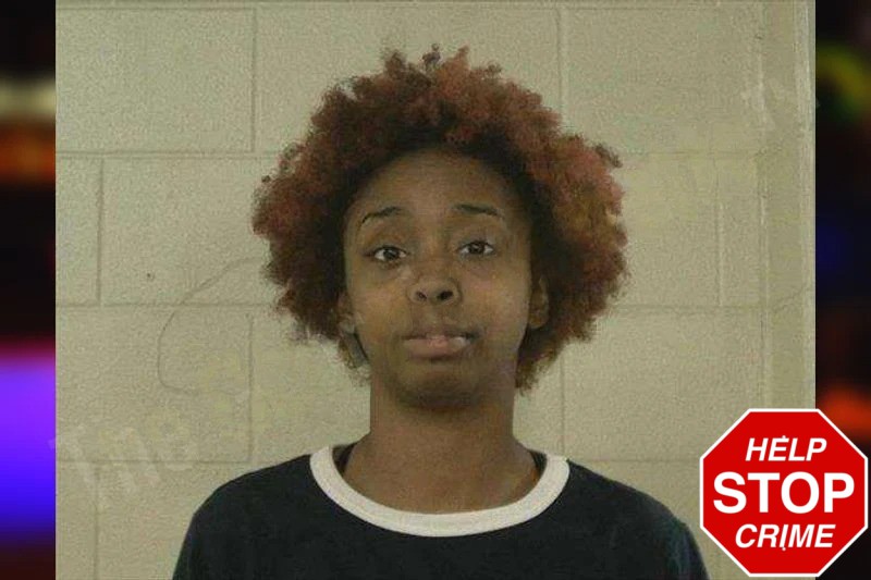 Takarra Terry Mugshots