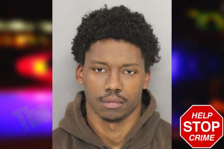 Takevin Tanner mugshot – Cobb County , Georgia Takevin Tanner