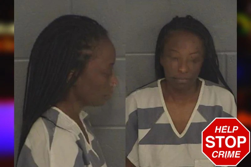 Tamara Hines Mugshots