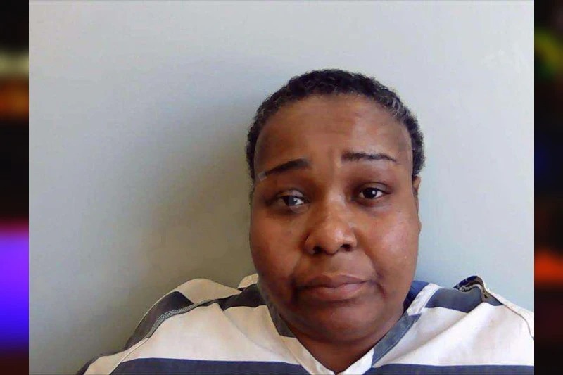 Tamara Wells Mugshots