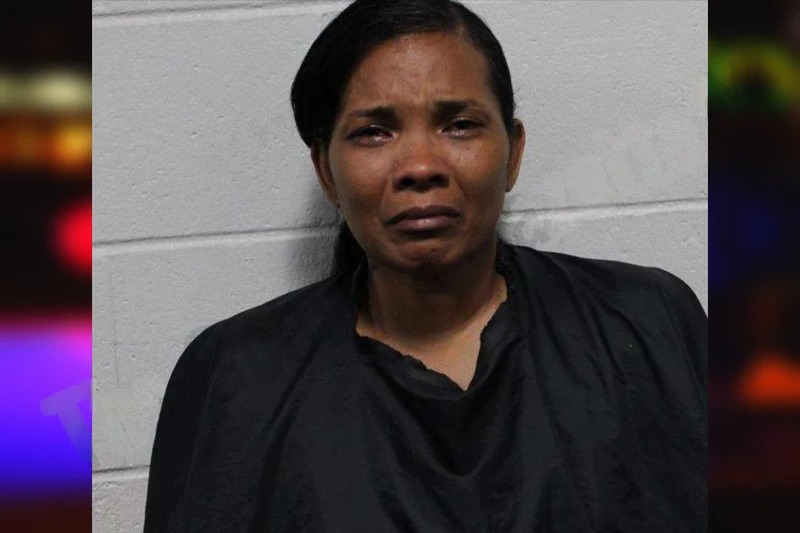 Tameka Dunn Mugshots