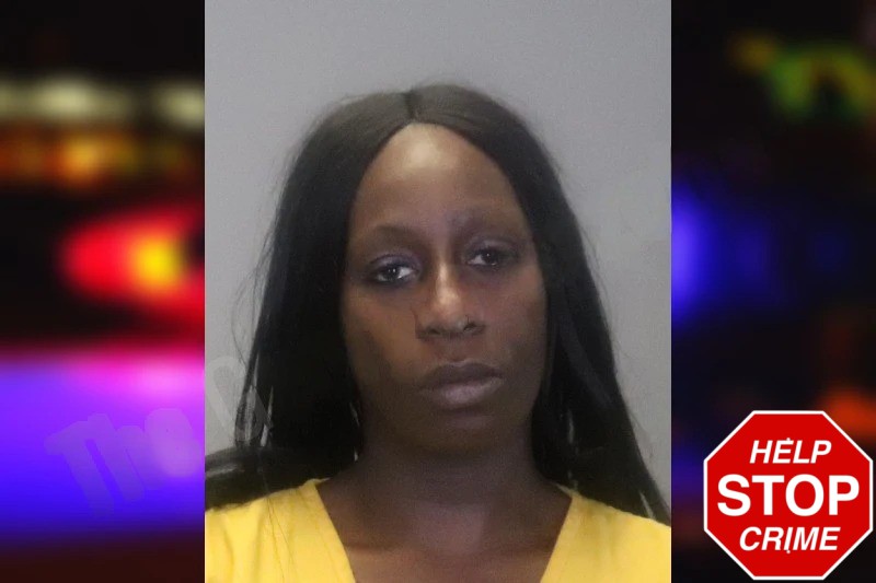 Tameka Spencer Mugshots