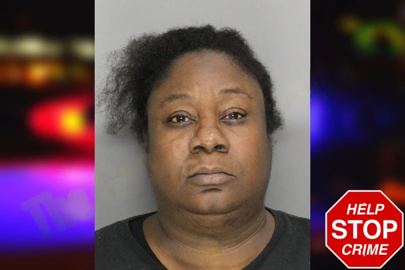 Tamika Heath Mugshots