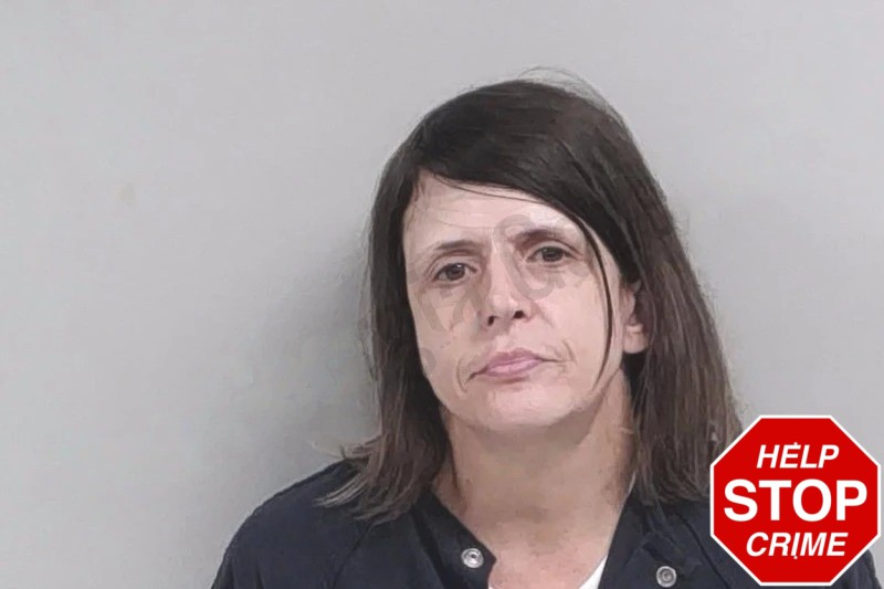 Tammy Fuller mugshot