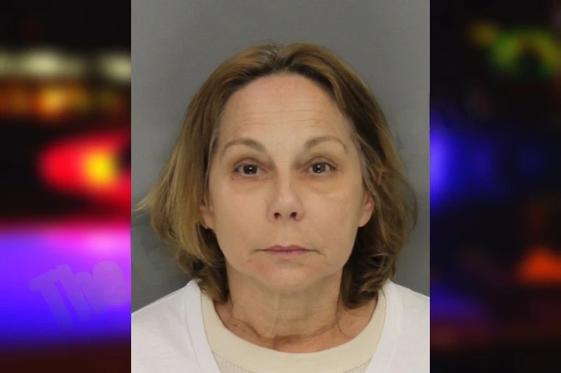 Tammy McClendon Mugshots