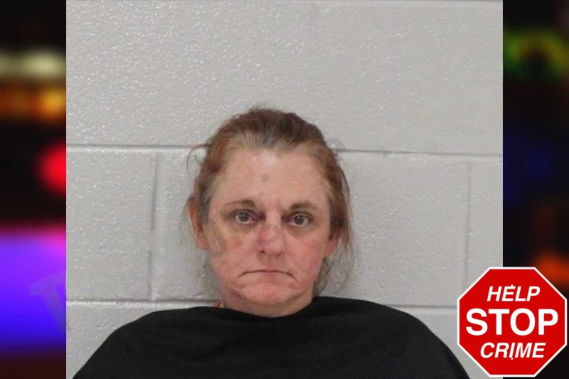 Tammy Ramos-Araujo Mugshots