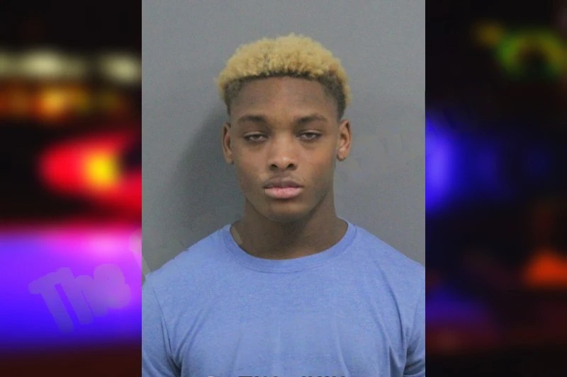 Tamoris Johnson Mugshots