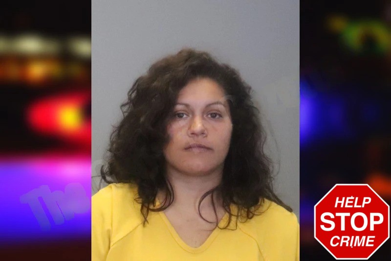 Tania Martinez Mugshots