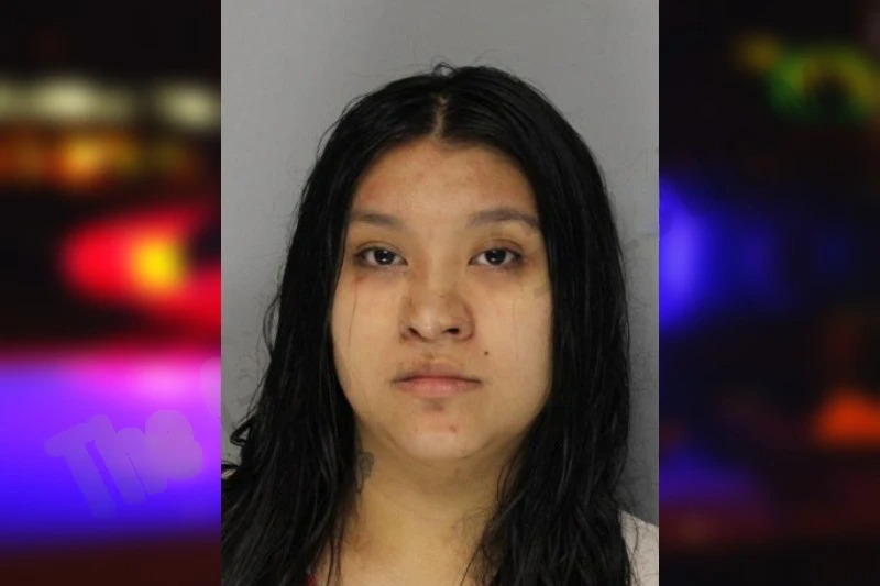 Tania Molina Mugshots