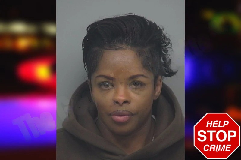 Tanika Tavares Mugshots
