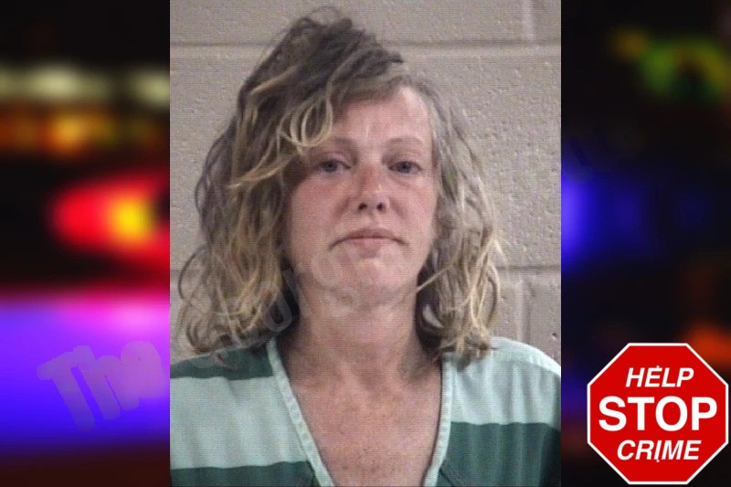 Tara Bermudez Mugshots