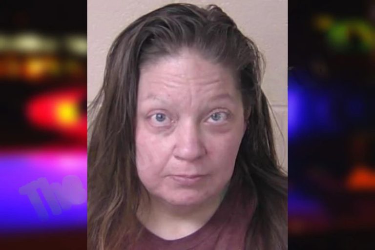 Tara McRae mugshot – Walker County , Georgia Tara McRae