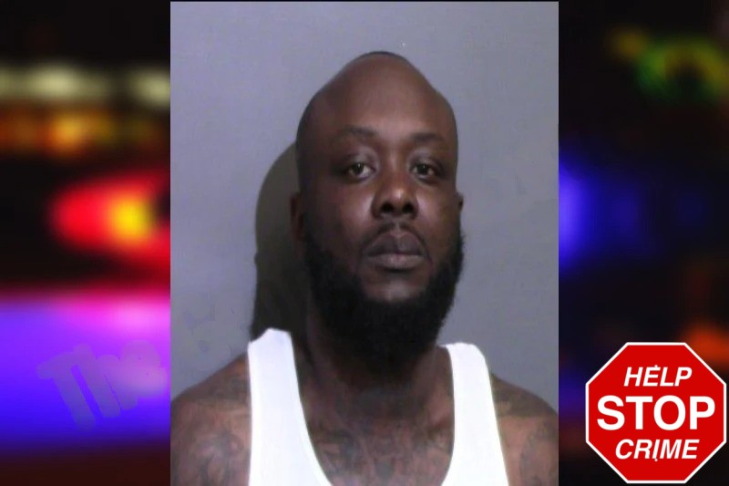 Tardone Johnson Mugshots