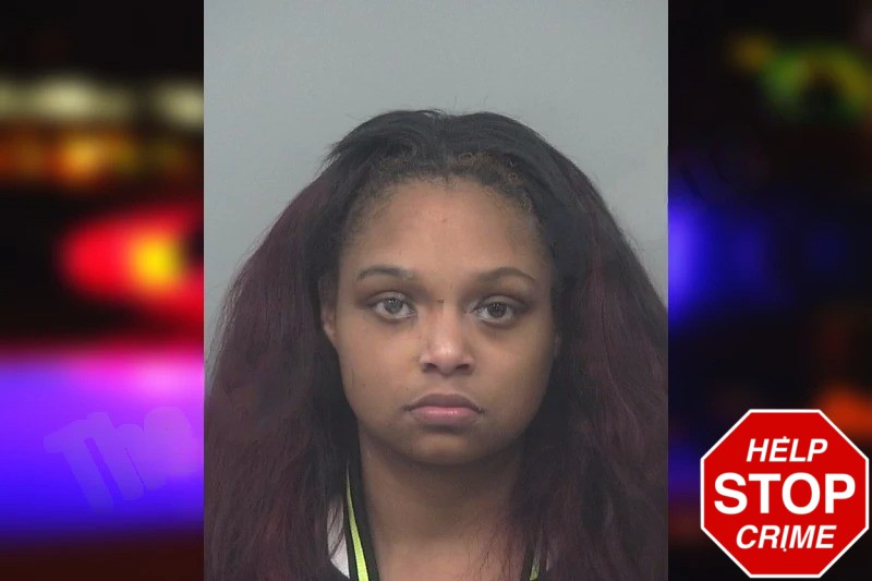 Tashavia Wilder Mugshots