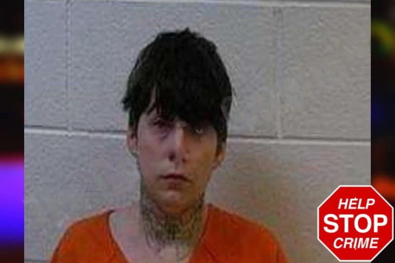 Tayetum Mauldin mugshot – Polk County , Georgia Tayetum Mauldin