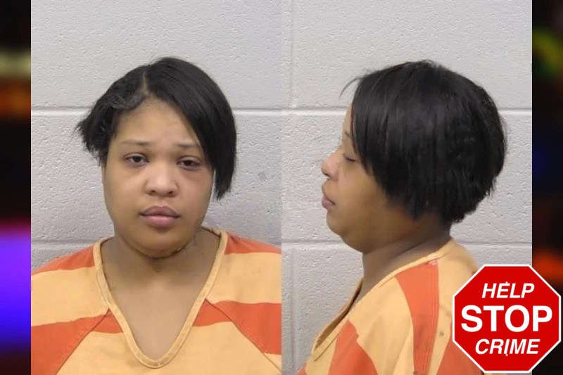 Taylor Allen Mugshots