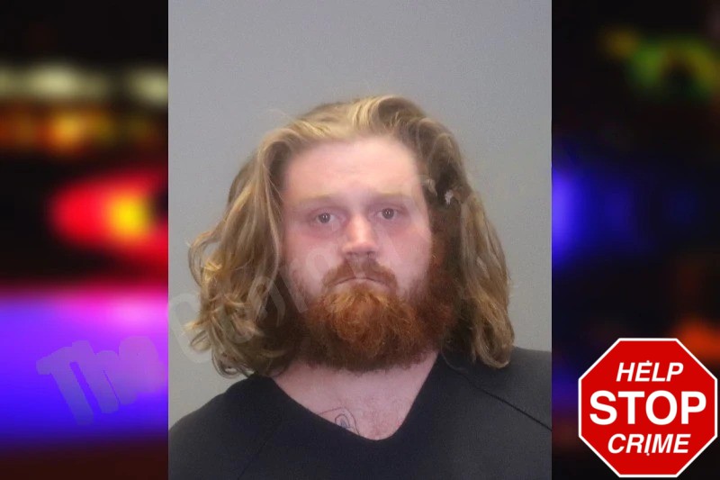 Taylor Howard Mugshots