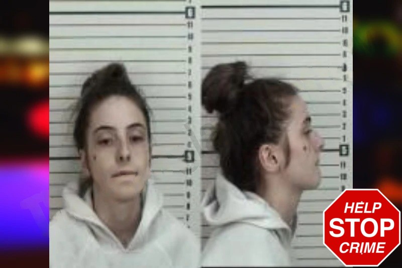 Taylor Jackson Mugshots