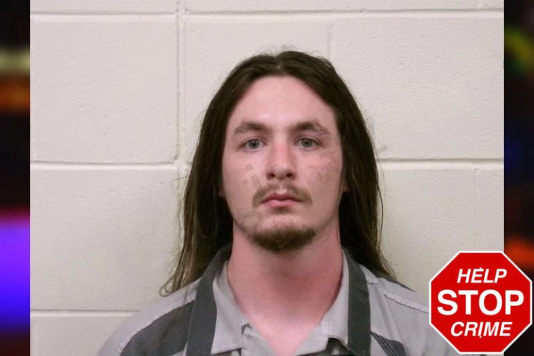 Taylor Thornhill mugshot – Henry County , Georgia Taylor Thornhill