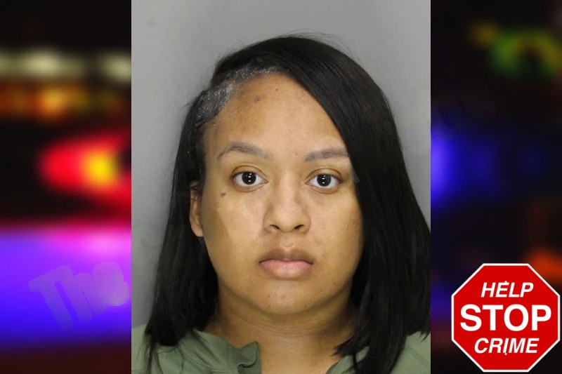 Taylor Williams Mugshots