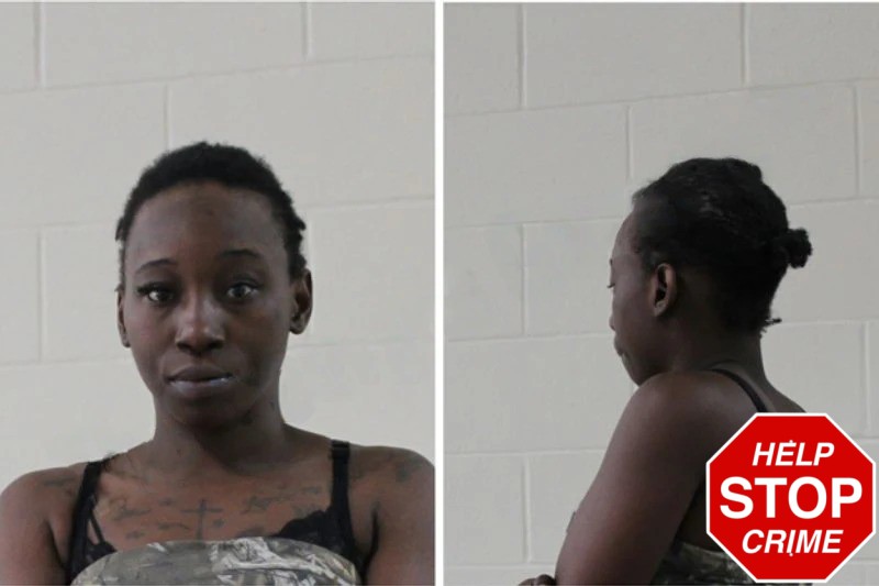 Teagan Jones Mugshots