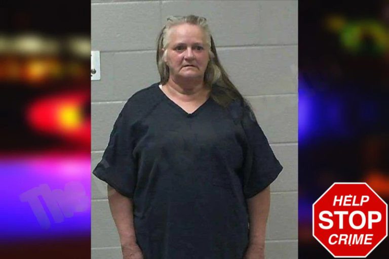 Teresa Bagwell mugshot – Gilmer County , Georgia Teresa Bagwell