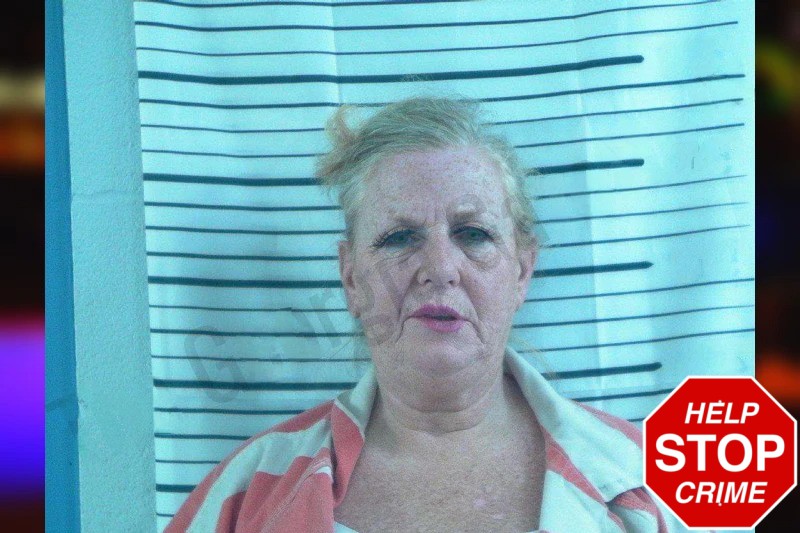 Teresa Therrien Mugshots