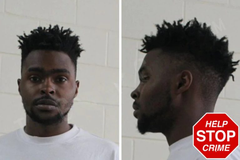 Tereze Hutchings mugshot – Houston County , Georgia Tereze Hutchings