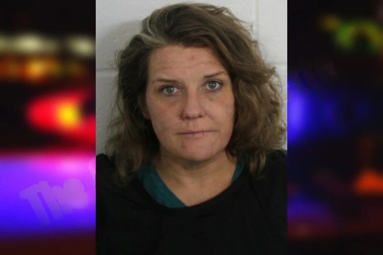 Terra Smith mugshot – Floyd County , Georgia Terra Smith