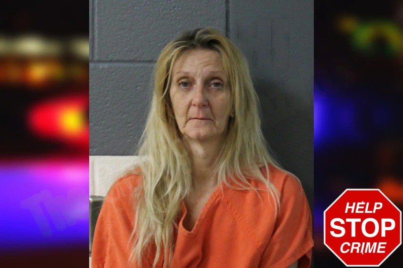 Terri Case mugshot – Lumpkin County , Georgia Terri Case mugshot