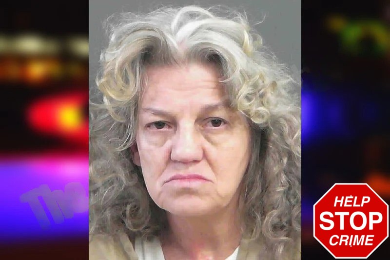 Terri Jodison Mugshots