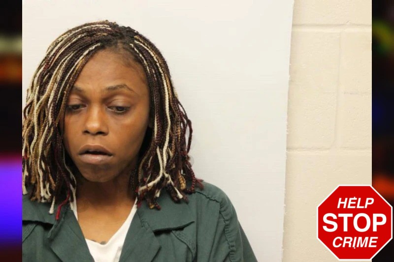 Terri Williams Mugshots