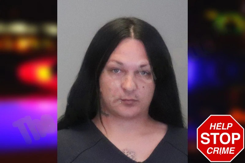 Terry Cannon Mugshots