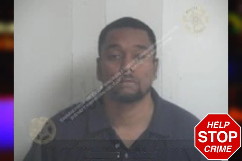 Terry McMillian Mugshots