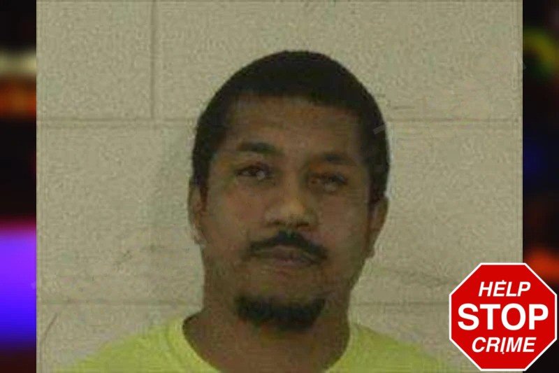 Terry Wilson Mugshots