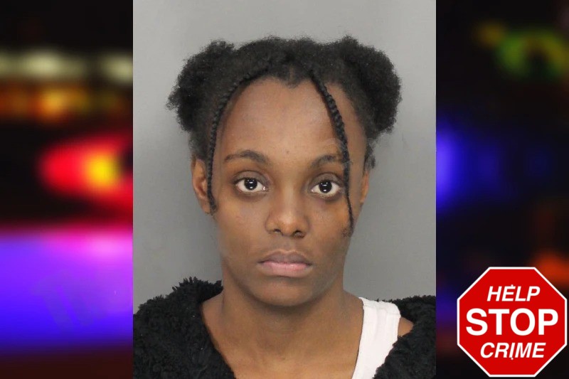 Teshauna Lovett Mugshots