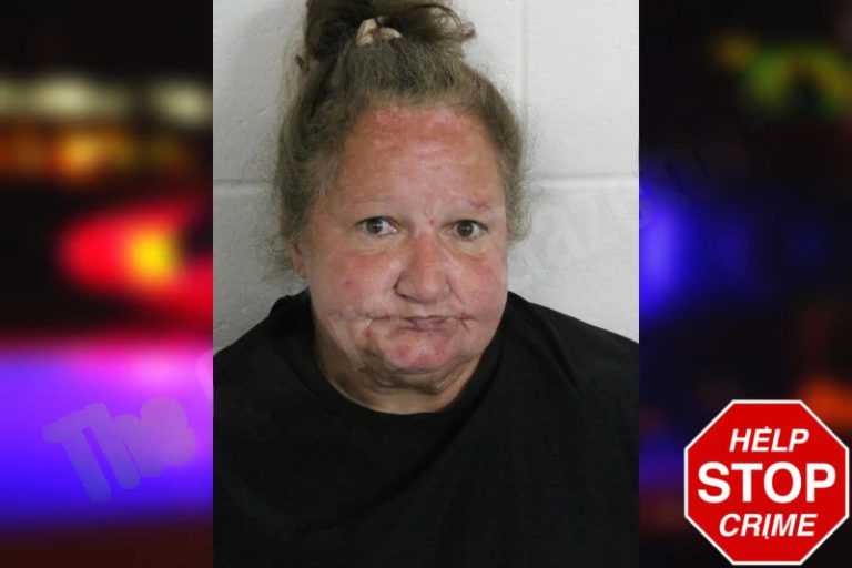 Theresa Duffey mugshot – Floyd County , Georgia Theresa Duffey