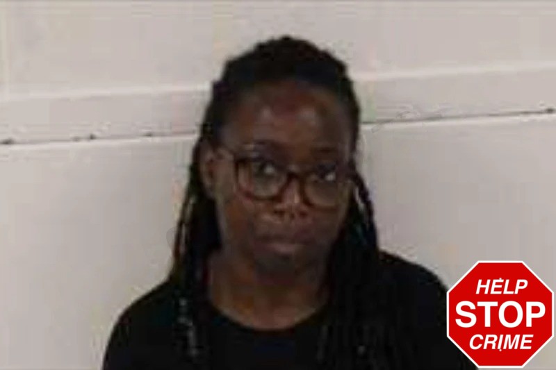 Theresa Hankins Mugshots