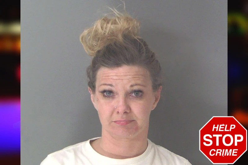 Theresa Weaver Mugshots