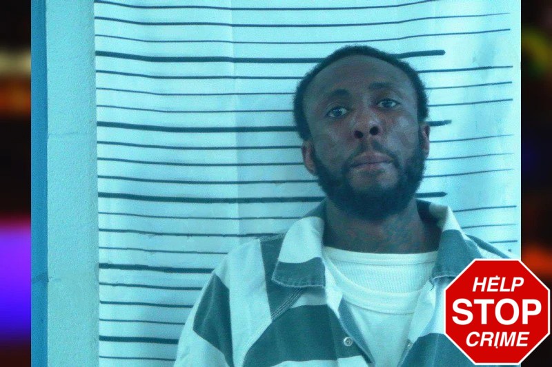 Thomas Hunter Mugshots