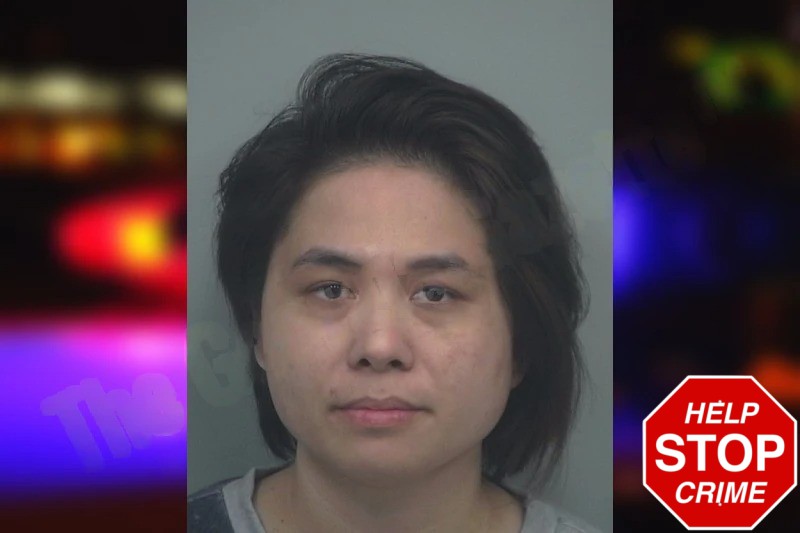 Thuy Luu Mugshots