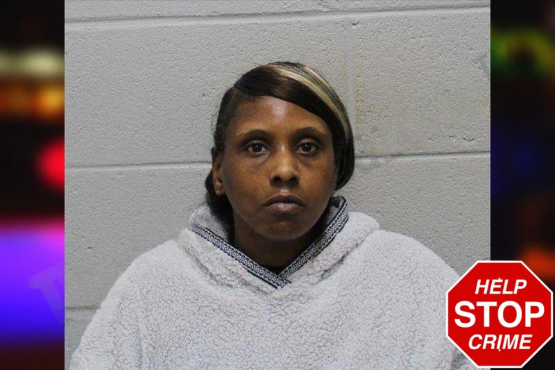 Tianna Fryerson Mugshots