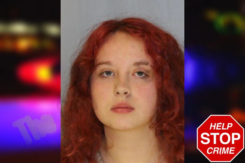 Tierra Crowe Mugshots