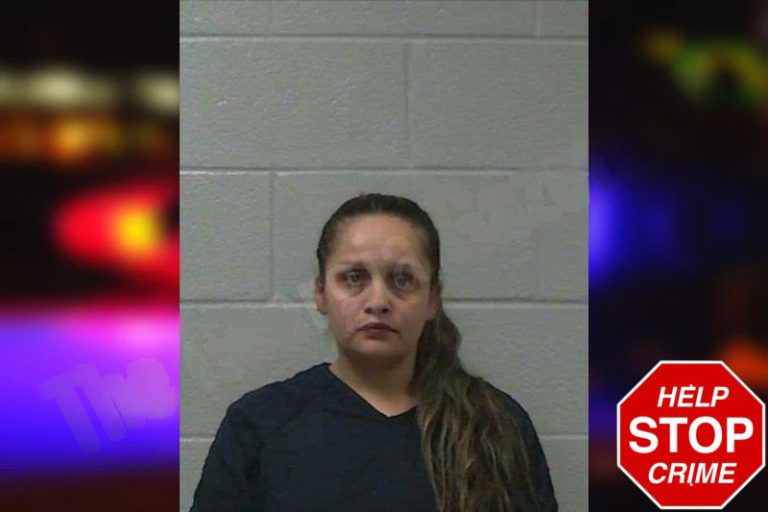 Tifanny Londono mugshot – Gilmer County , Georgia Tifanny Londono