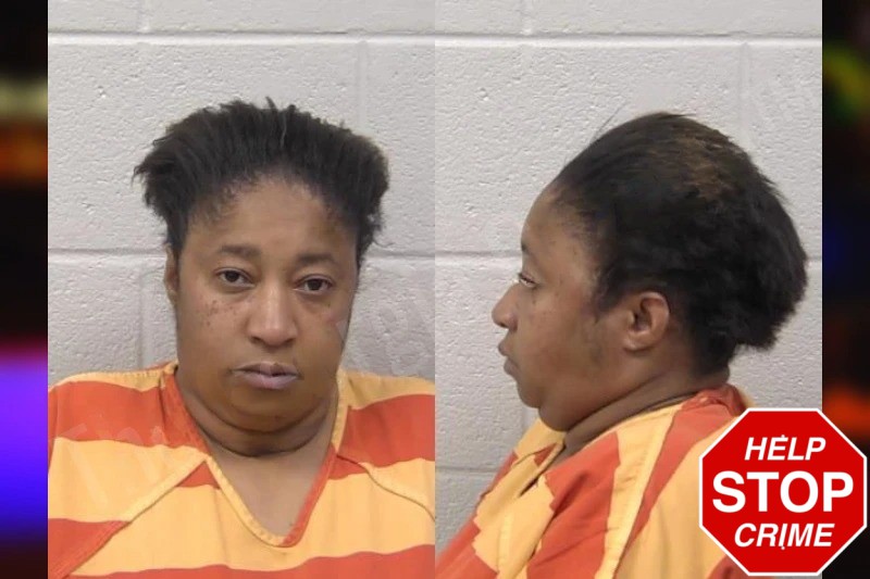 Tiffany Adams Mugshots