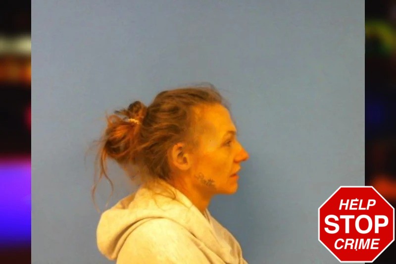 Tiffany Scoggins mugshot – Troup County , Georgia Tiffany Scoggins mugshot