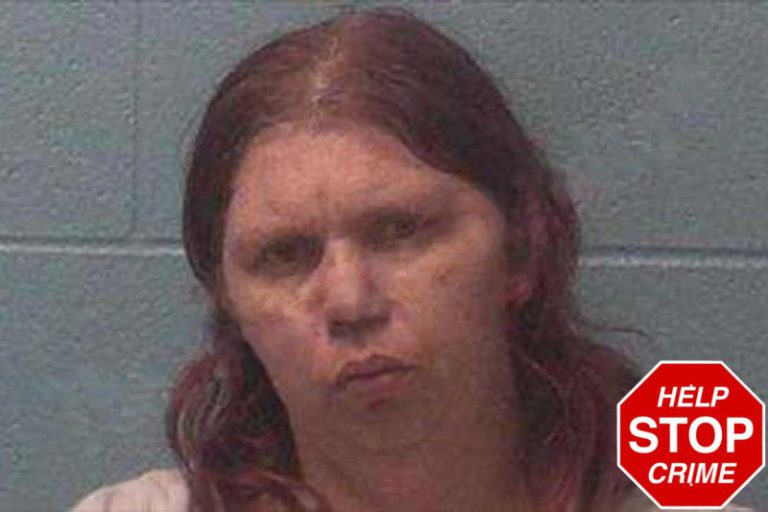 Tiffany Simmons mugshot – Franklin County , Georgia Tiffany Simmons
