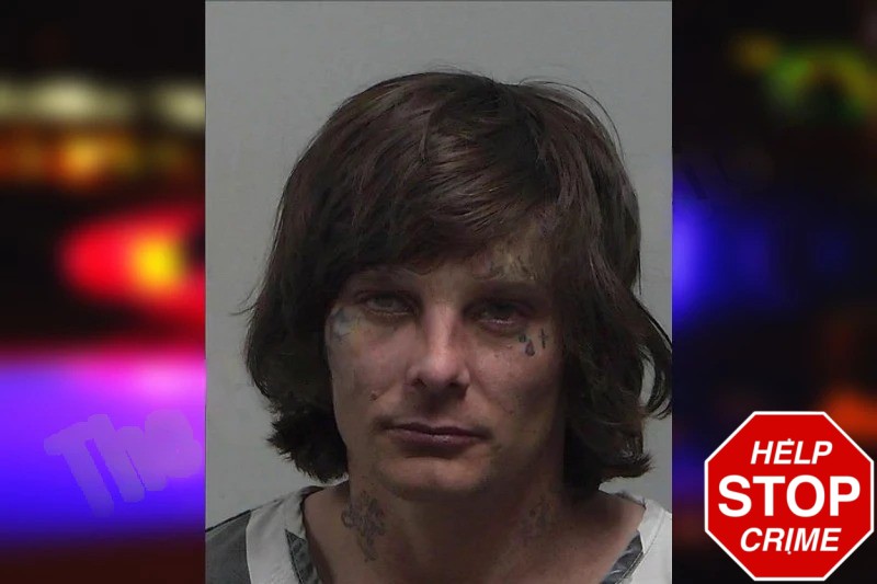 Timothy Sumner Mugshots